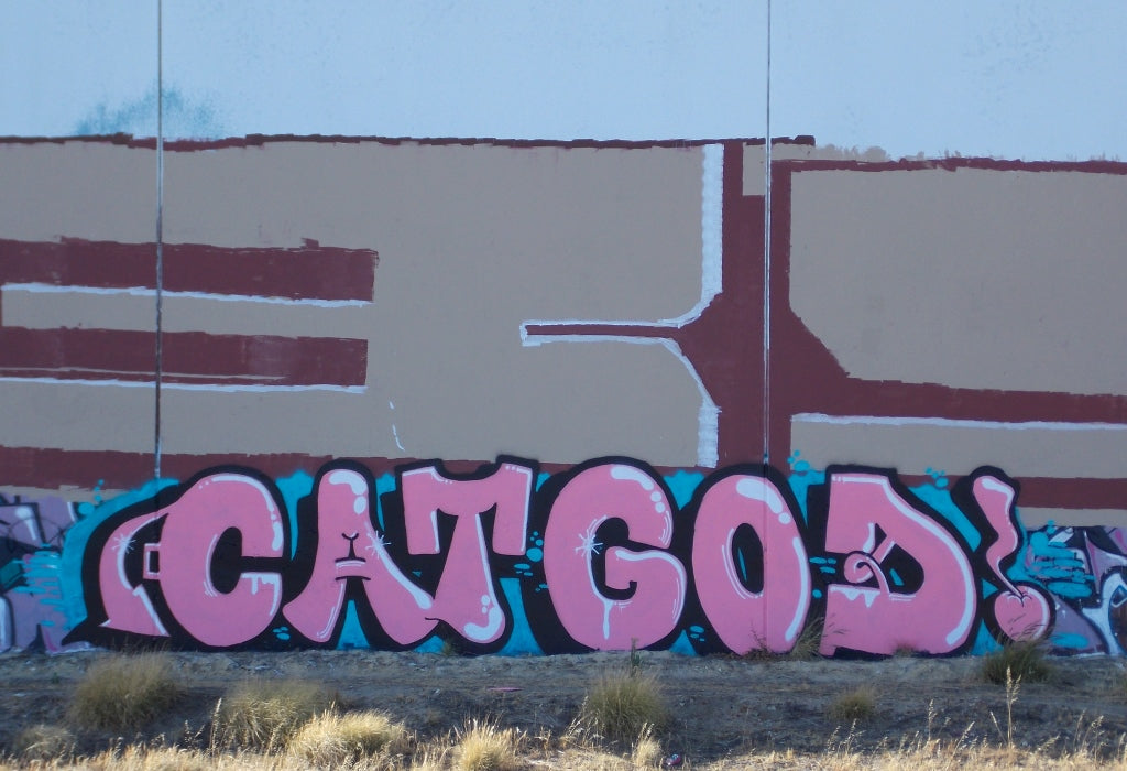 Spray Planet's 11 Questions with Graffiti Artist CAT GODS