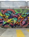 Spray Planet's 11 Questions with French Graffiti Artist SERY