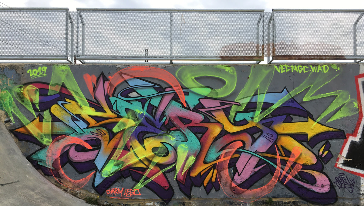 Spray Planet's 11 Questions with French Graffiti Artist SERY