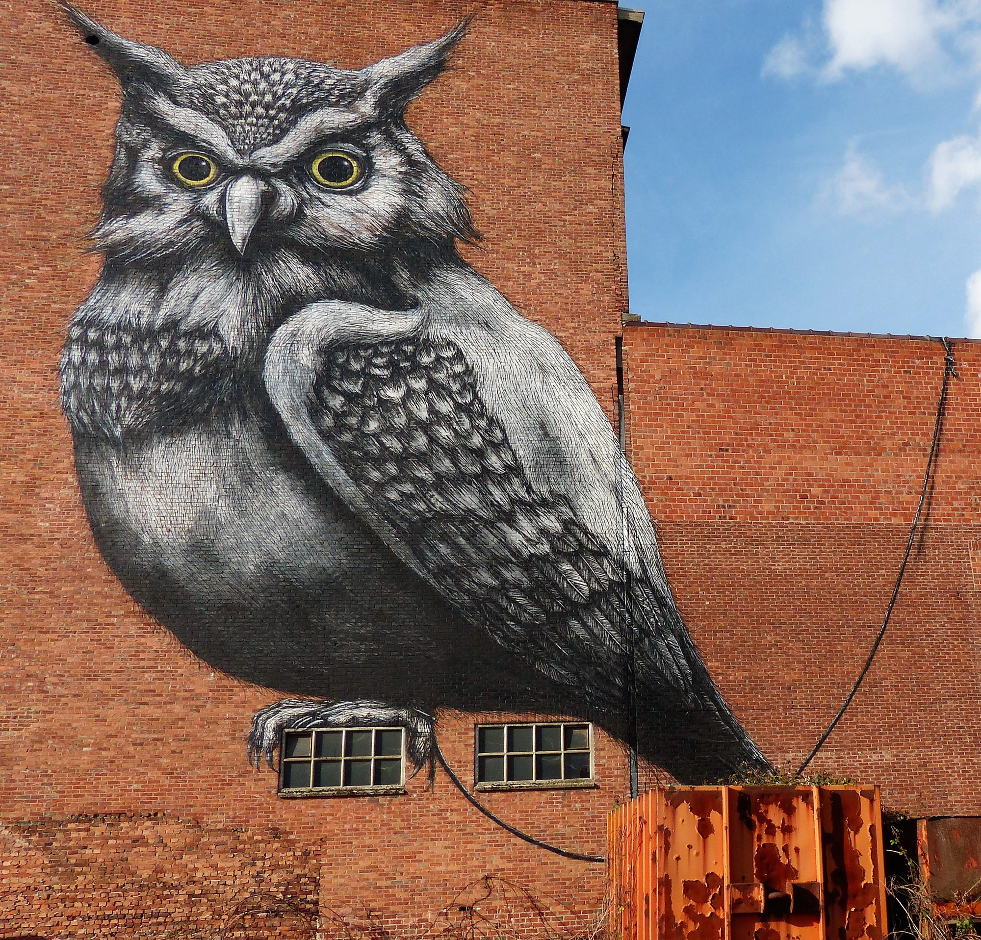Artist Series: The Artwork of ROA, From Streets to Gallery